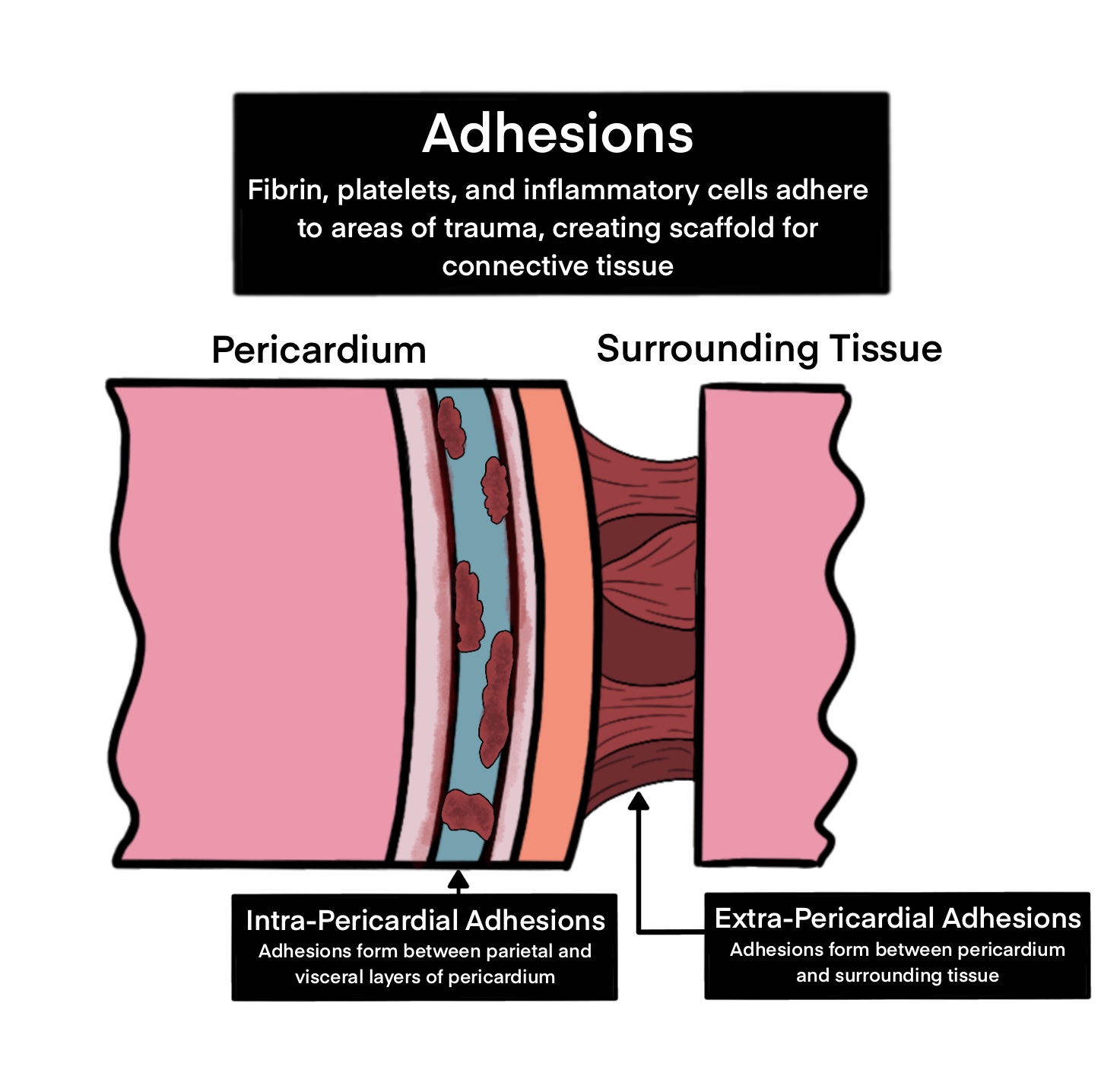 Formation Pathways